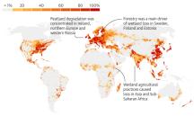 Wetlands loss 1700-2020
